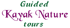 GAEA Guides - Guided Kayak Nature Tours
